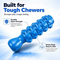 Kseroo Long Whistle Beef Flavored Nylon Dental Care Dog Chew Toy, Blue slide 2 of 9