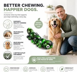 Kseroo Mixed Caterpillar Bacon Flavored Nylon Dental Care Dog Chew Toy, Green slide 2 of 9
