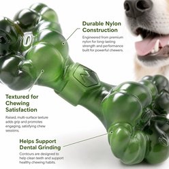 Kseroo Mixed Double-Sided Flower Bone Bacon Flavored Nylon Dental Care Dog Chew Toy, Green slide 2 of 8