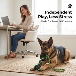 Kseroo Mixed I-Bone Interactive Bacon Flavored Nylon & Cotton Rope Dog Tug Toy with Squeaker, Green slide 2 of 7