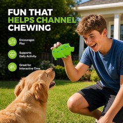 Kseroo Pig Durable Aggressive Chewers with Realistic Sound Squeaky & Dental Teething Chew Dog Toy, Green slide 2 of 9