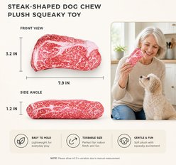 Kseroo Plush Steak Meat Shaped Squeaky & Dental Teething Chew Dog Toy, Red slide 2 of 9