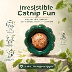 Kseroo Pumpkin Catnip-Infused Chew Toy, Green slide 2 of 9