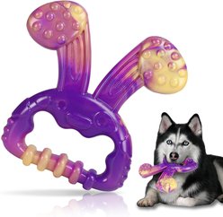 Kseroo Rabbit Beef-Flavored Nylon Tough Chew Dog Toy, Purple