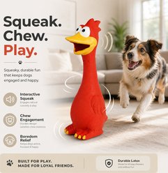 Kseroo Screaming Aggressive Chewers Chicken Squeaky & Dental Teething Chew Dog Toy, Red slide 2 of 9