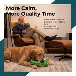 Kseroo Short Flat Crocodile Milk Flavored Nylon Dental Care Dog Chew Toy, Green/Blue slide 2 of 7