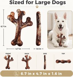 Kseroo Small Cactus Bacon Flavored Nylon Dental Care Dog Chew Toy, Brown slide 2 of 7