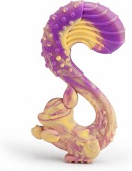 Kseroo Squirrel Beef-Flavored Nylon Tough Chew Dog Toy, Purple
