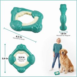 Kseroo Tooth Bacon Flavored Nylon Dental Care & Anxiety Relief Dog Chew Toy, Green slide 2 of 9