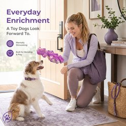 Kseroo Triceratops Beef-Flavored Nylon Tough Chew Dog Toy, Purple slide 2 of 9