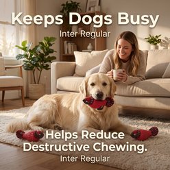 Kseroo Turkey Rubber & Nylon Squeaky Teeth Cleaning Dog Chew Toy with Bacon Scent, Red slide 2 of 7