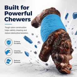 Kseroo Wild Boar Bacon Flavored Rubber & Nylon Hybrid Dog Chew Toy with Squeaker, Blue slide 2 of 8
