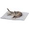Show in main carousel: K.T. Manufacturing Purr Padd Cat Bed Mat, Charcoal, 2 count slide 3 of 9