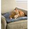 Show in main carousel: K.T. Manufacturing Purr Padd Cat Bed Mat, Charcoal, 2 count slide 4 of 9