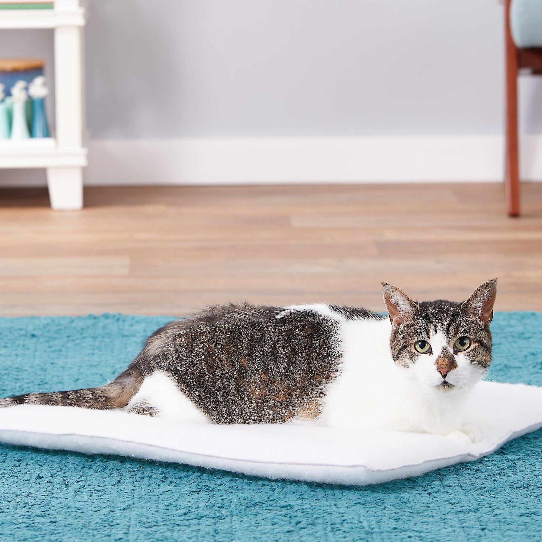 Carolina Pet Purr Padd Cat Bed Mat, White, 2 count