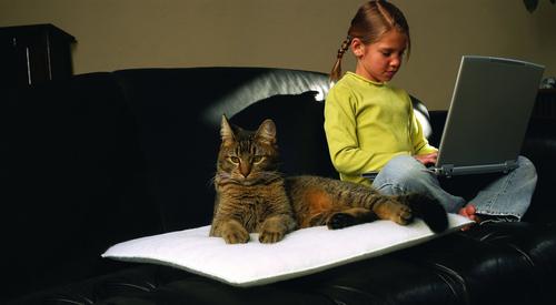 Show full view: K.T. Manufacturing Purr Padd Cat Bed Mat, White, 2 count slide 8 of 10