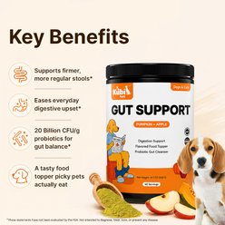 Kubi Pets Gut Support Pumpkin Powder Digestive Aid for Dogs, 14.7-oz jar, 60 servings slide 2 of 8