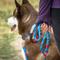 Show in main carousel: Kurgo Ascender Polyester Dog Leash, Coastal Blue, 6.5-ft long, 3/4-in wide slide 5 of 8