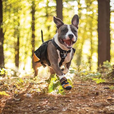 Show full view: Kurgo Baxter Dog Backpack, Baxter, Black/Orange slide 4 of 10