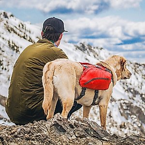 Kurgo Baxter Dog Backpack, Big Baxter, Chili/Barn Red