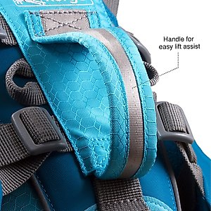 Kurgo Baxter Dog Backpack, Big Baxter, Chili/Barn Red