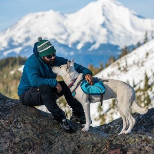 Kurgo Baxter Dog Backpack, Big Baxter, Coastal Blue