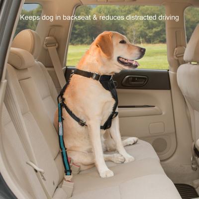Show full view: Kurgo Direct to Seatbelt Dog Tether, Coastal Blue slide 5 of 10
