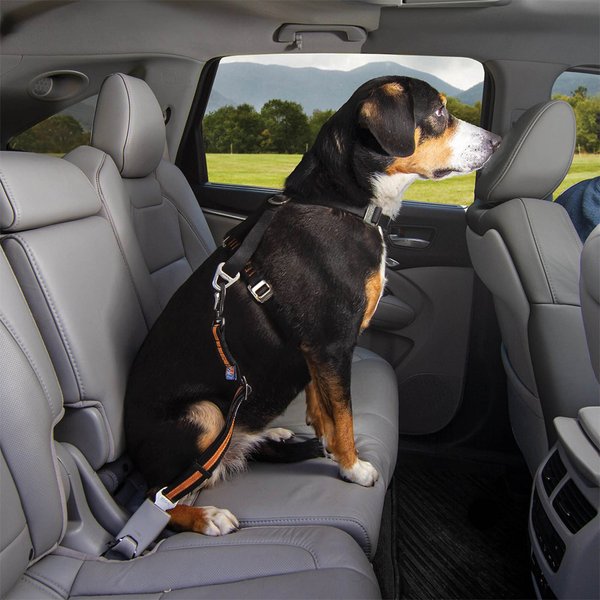 Kurgo Direct to Seatbelt Dog Collar Tether