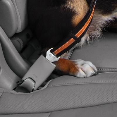 Show full view: Kurgo Direct to Seatbelt Swivel Dog Collar Tether, Black/Orange slide 8 of 9