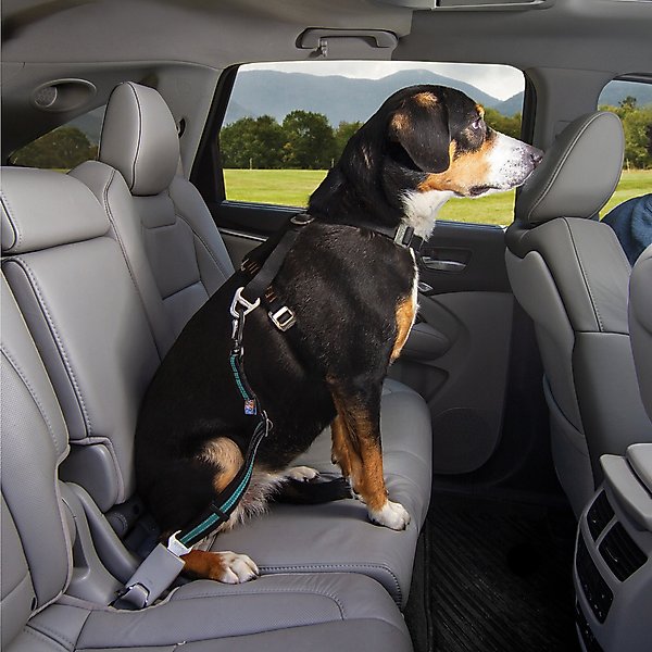 Car Seat Kurgo Dog Collars KURGO Direct To Seatbelt Swivel Dog
