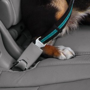 Kurgo Direct to Seatbelt Swivel Dog Collar Tether, Coastal Blue