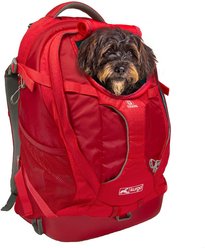 Kurgo G-Train Dog Carrier Backpack, Chili Red