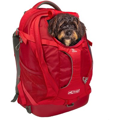 Kurgo Kurgo G-Train Dog Carrier Backpack, Chili Red