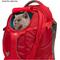 Show in main carousel: Kurgo G-Train Dog Carrier Backpack, Chili Red slide 6 of 11