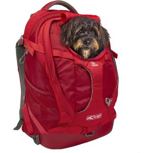 Kurgo G-Train Dog Carrier Backpack, Chili Red
