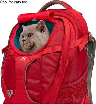 Show full view: Kurgo G-Train Dog Carrier Backpack, Red slide 4 of 10