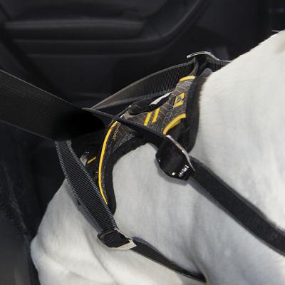 Show full view: Kurgo Impact Car Safety Dog Harness, Small: 10 to 25 pounds slide 3 of 13