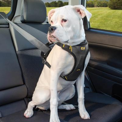 Show full view: Kurgo Impact Car Safety Dog Harness, Small: 10 to 25 pounds slide 4 of 13