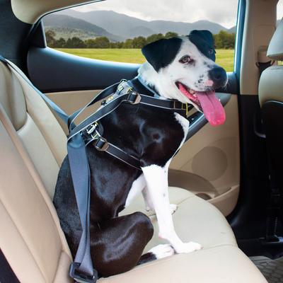 Show full view: Kurgo Impact Car Safety Dog Harness, Small: 10 to 25 pounds slide 6 of 13