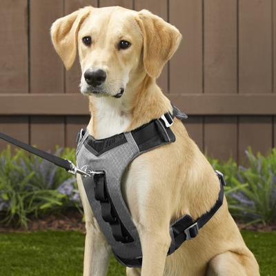 Show full view: Kurgo Journey Air Polyester Reflective No Pull Dog Harness, Black/Charcoal, X-Large: 28 to 44-in chest slide 5 of 10