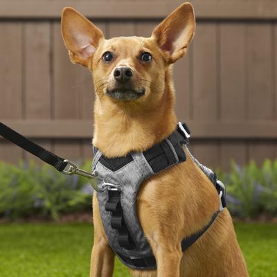 Show full view: Kurgo Journey Air Polyester Reflective No Pull Dog Harness, Black/Charcoal, X-Small: 12 to 18-in chest slide 5 of 10