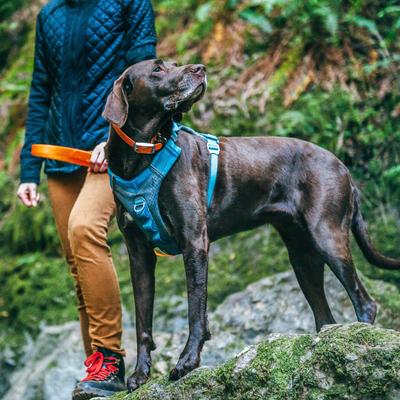Show full view: Kurgo Journey Air Polyester Reflective No Pull Dog Harness, Chili Red/Charcoal, Large: 24 to 34-in chest slide 4 of 10
