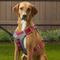 Show in main carousel: Kurgo Journey Air Polyester Reflective No Pull Dog Harness, Chili Red/Charcoal, Large: 24 to 34-in chest slide 5 of 10