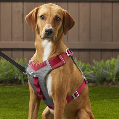 Show full view: Kurgo Journey Air Polyester Reflective No Pull Dog Harness, Chili Red/Charcoal, Large: 24 to 34-in chest slide 5 of 10