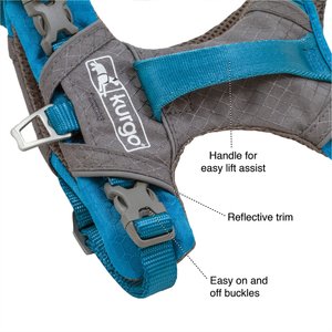 Kurgo Journey Air Polyester Reflective No Pull Dog Harness, Coastal Blue/Charcoal, Large: 24 to 34-in chest