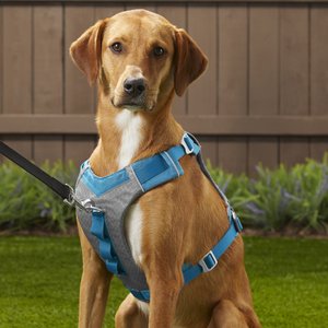 Kurgo Journey Air Polyester Reflective No Pull Dog Harness, Coastal Blue/Charcoal, Large: 24 to 34-in chest