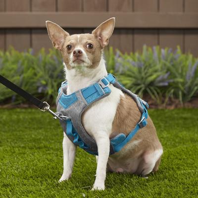 Show full view: Kurgo Journey Air Polyester Reflective No Pull Dog Harness, Coastal Blue/Charcoal, Small: 16 to 22-in chest slide 6 of 11