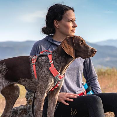 Show full view: Kurgo Journey Air Polyester Reflective No Pull Dog Harness, Coral, Large slide 6 of 10