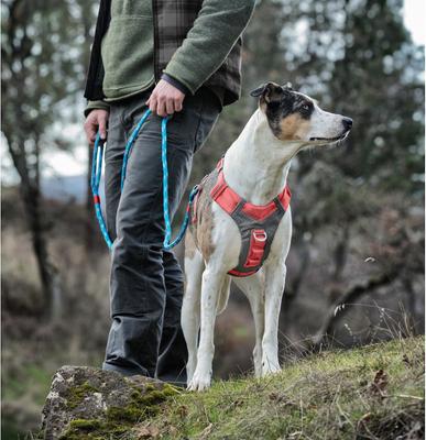 Show full view: Kurgo Journey Air Polyester Reflective No Pull Dog Harness, Coral, Large slide 8 of 10