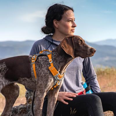Show full view: Kurgo Journey Air Polyester Reflective No Pull Dog Harness, Orange, X-Large slide 5 of 9